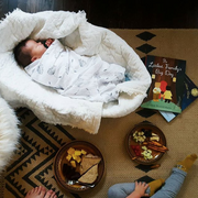 Organic Swaddle Blankets - Grey Feather & Dandelion