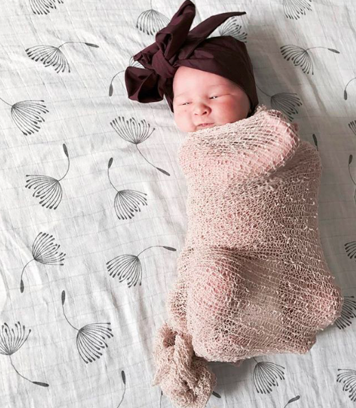 Organic Swaddle Blankets - Grey Feather & Dandelion
