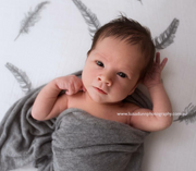 Organic Swaddle Blankets - Grey Feather & Dandelion